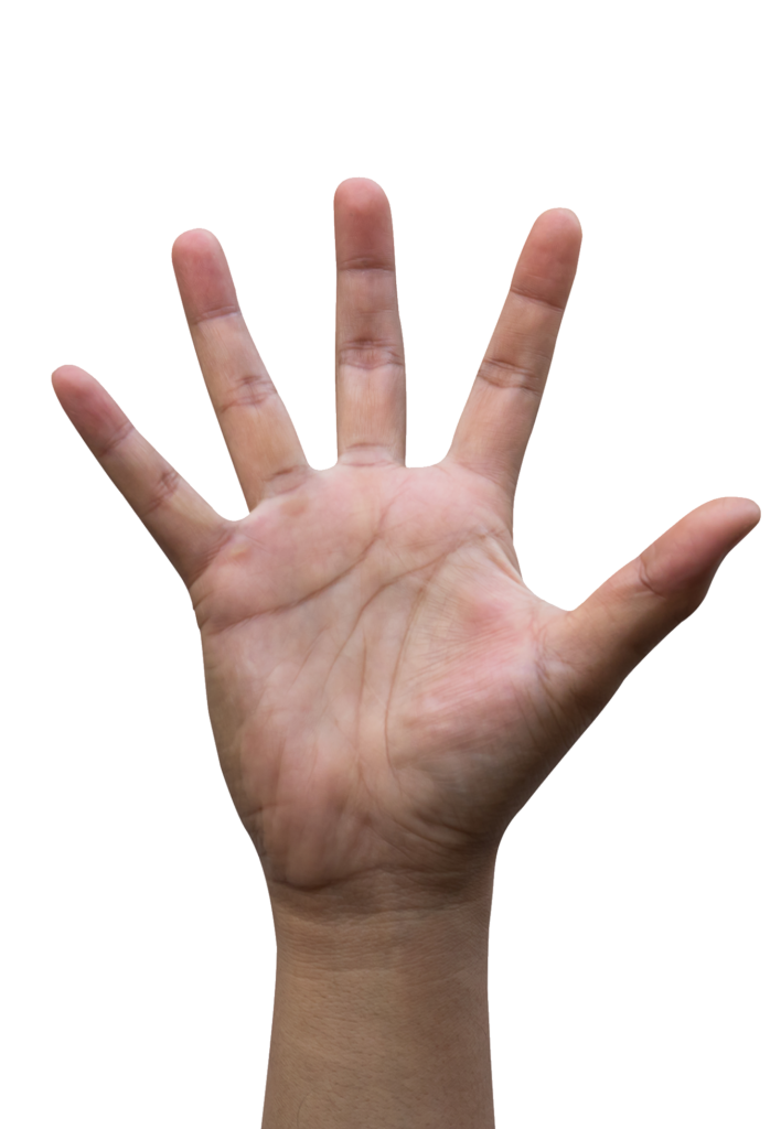 Transparent Hand Fingers PNG