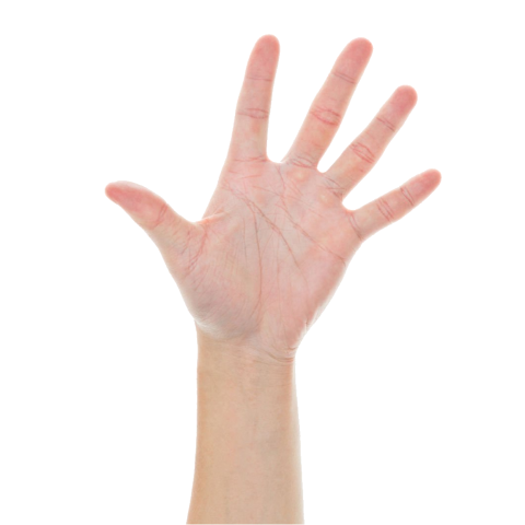Five Fingers Hand PNG