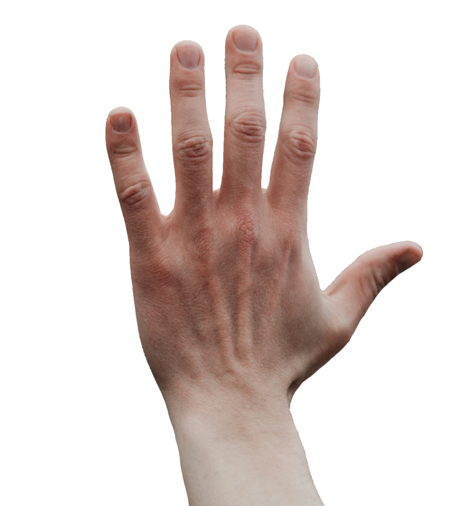 Hand Fingers PNG