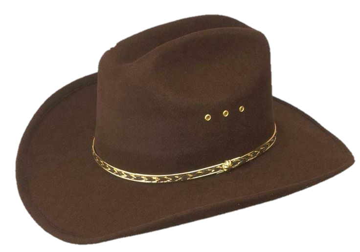 Brown Hat Png Image