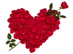 Rose flowers Heart Png