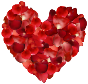 Rose Heart Png