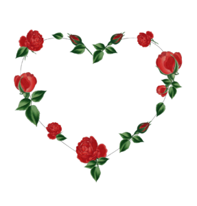 Aesthetic Heart Png