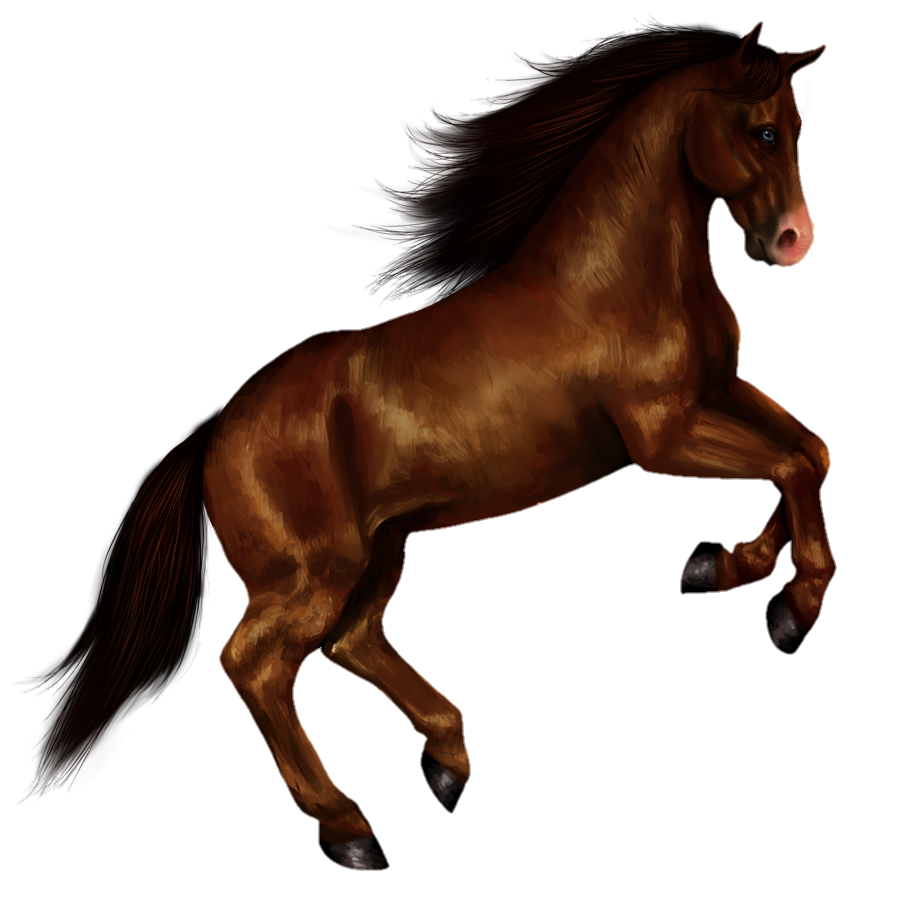 Standing Horse Png