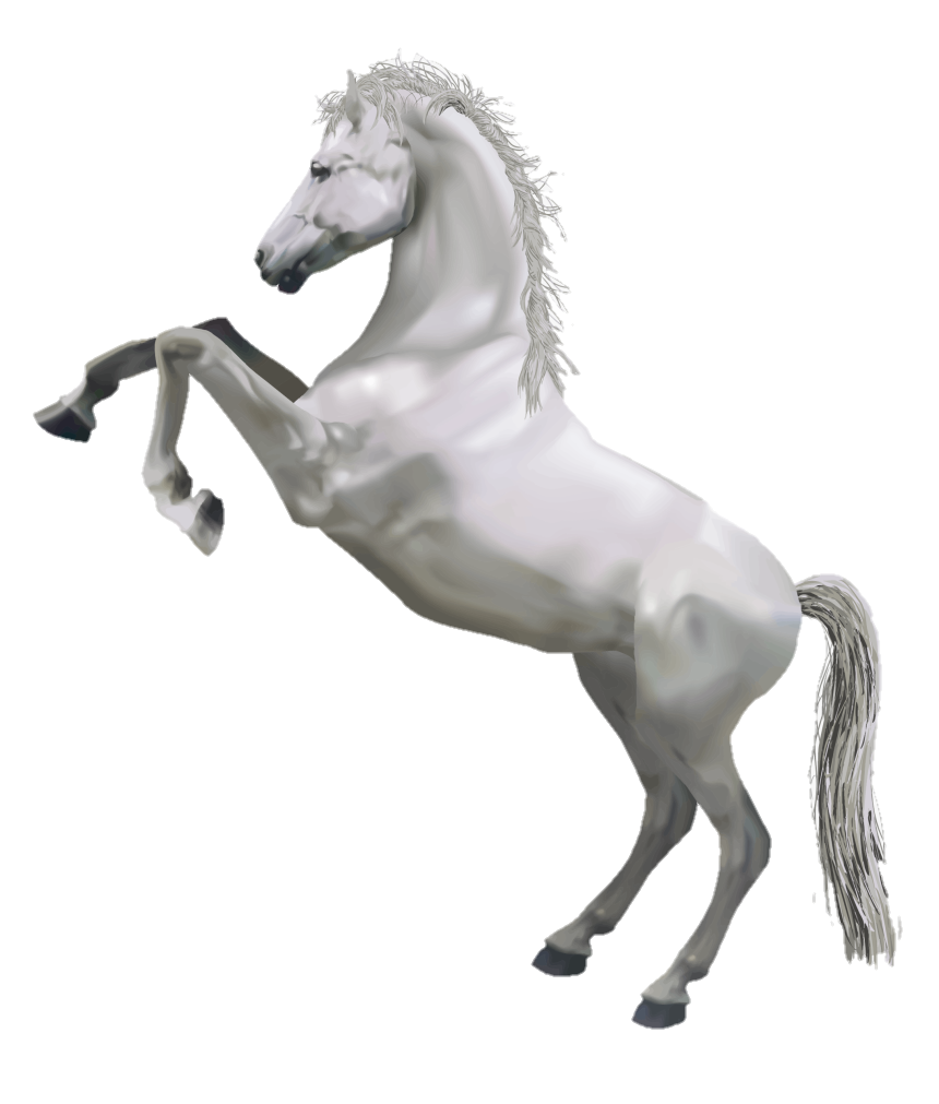 horse-png-from-pngfre-11