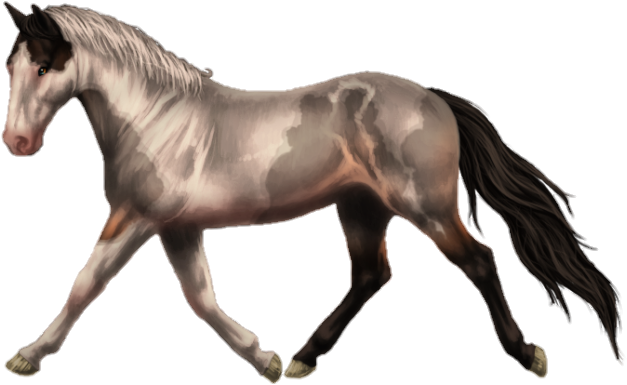 Transparent Horse Png