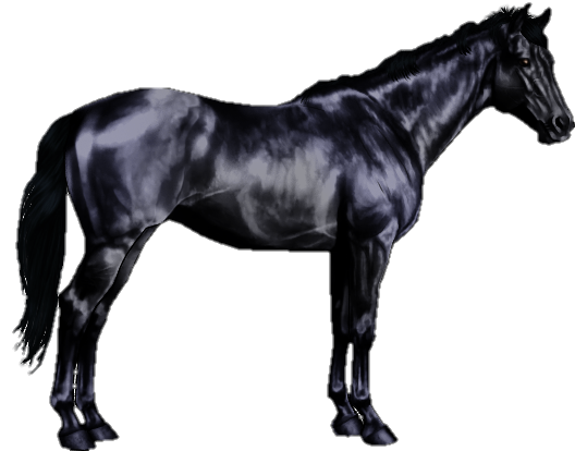 horse-png-from-pngfre-15