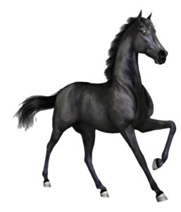 horse-png-from-pngfre-16