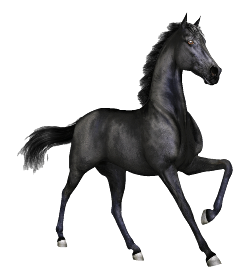 horse-png-from-pngfre-16