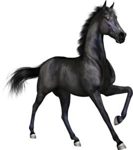 horse-png-from-pngfre-2