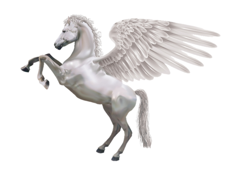 White Horse with Wings png image