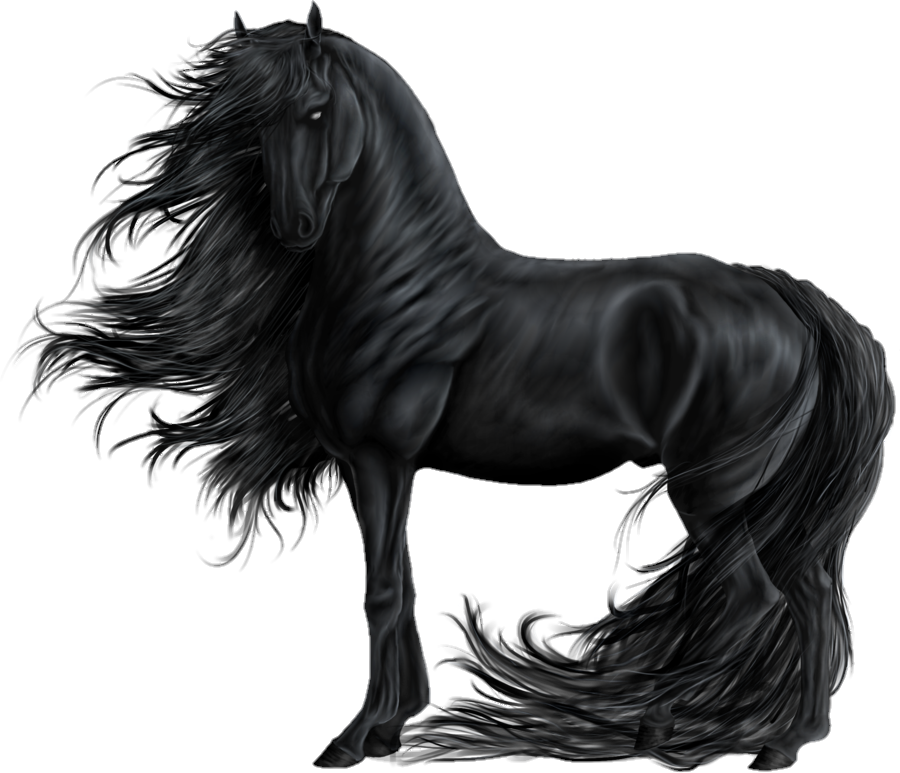 horse-png-from-pngfre-3