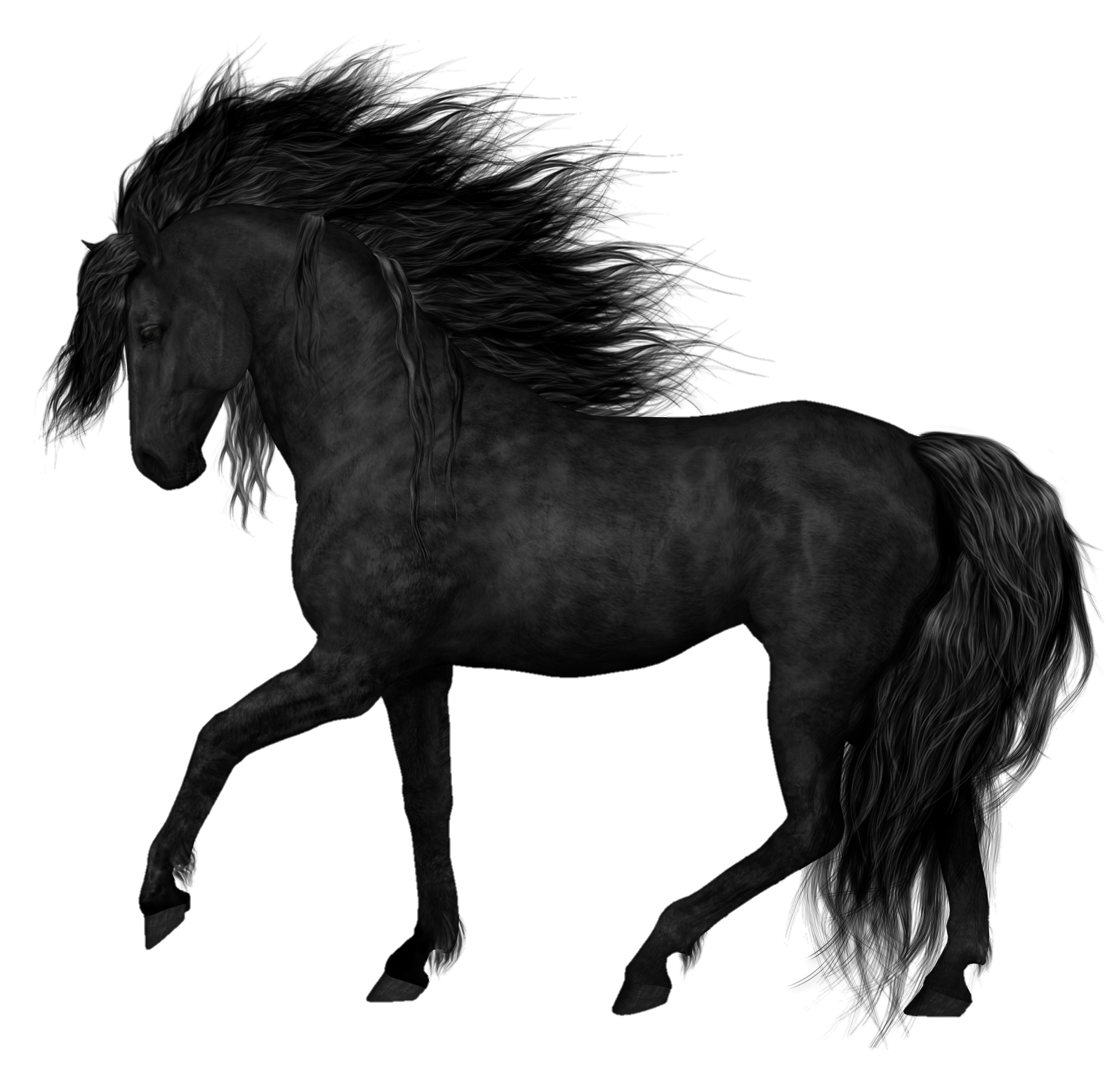 horse-png-from-pngfre-4