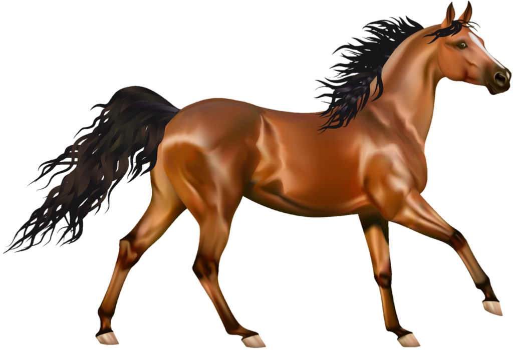 High Resolution Horse Png vector