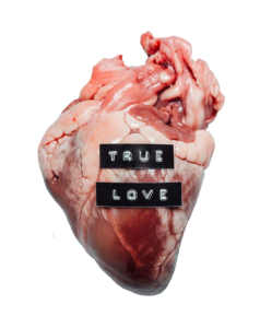 Real Human Heart True Love Logo Png