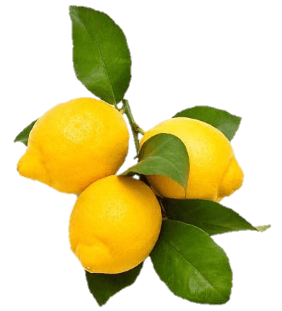 lemon-16