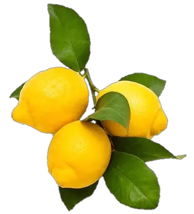 Fruit Lemon Png