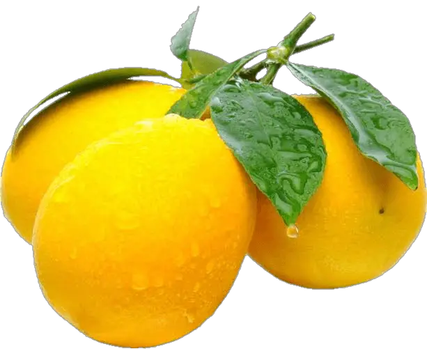 Fruit Lemon Png