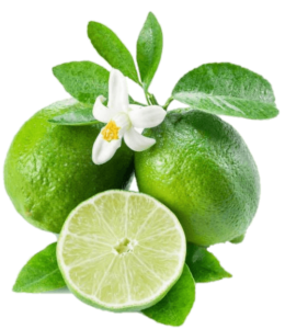 Green Lemon Png