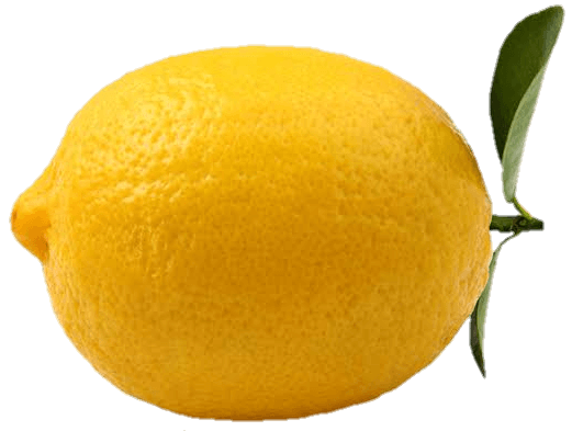 lemon-26