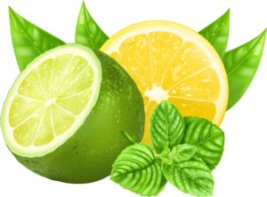 Lemon Png Vector Image