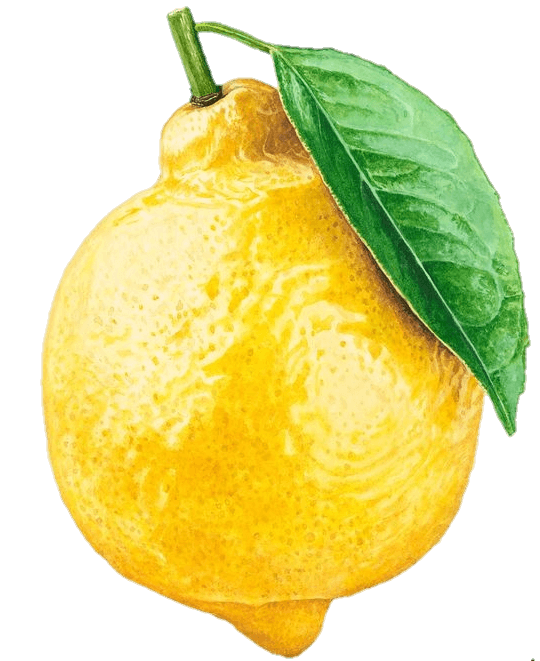 Lemon Png Art
