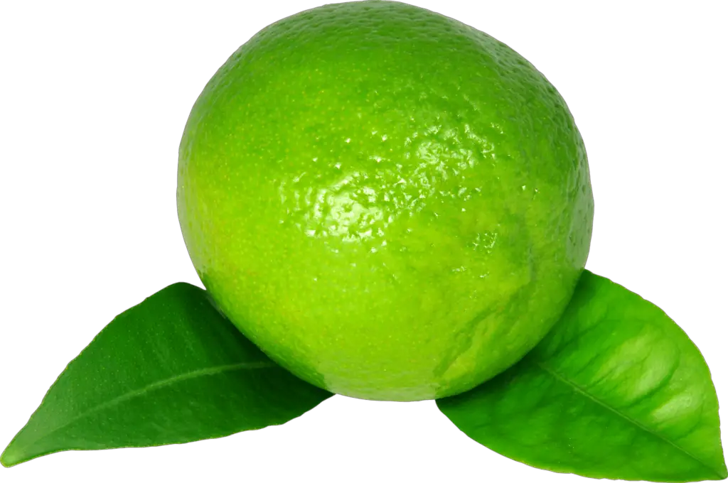 Lime Lemon Png