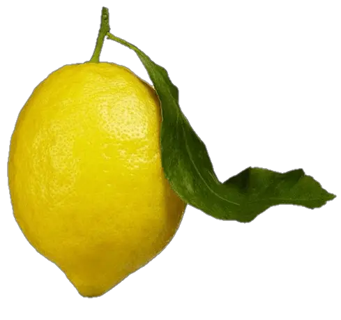 lemon-41