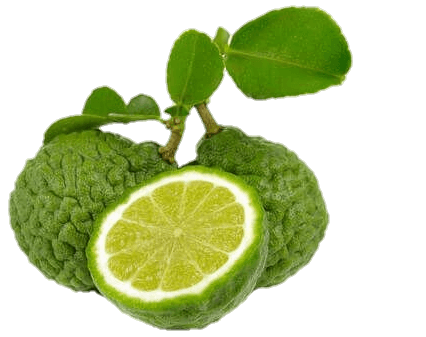 Lime Lemon Png