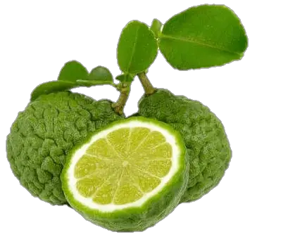 Lime Lemon Png