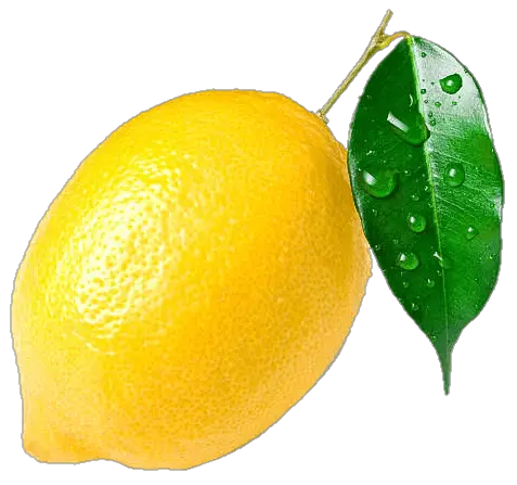 lemon-46