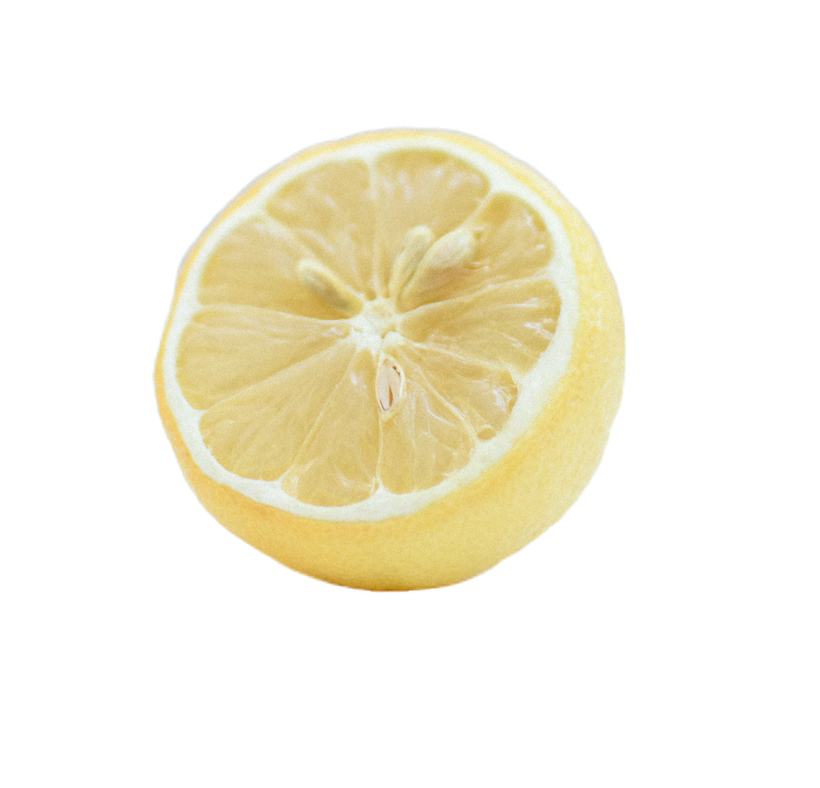 lemon-66