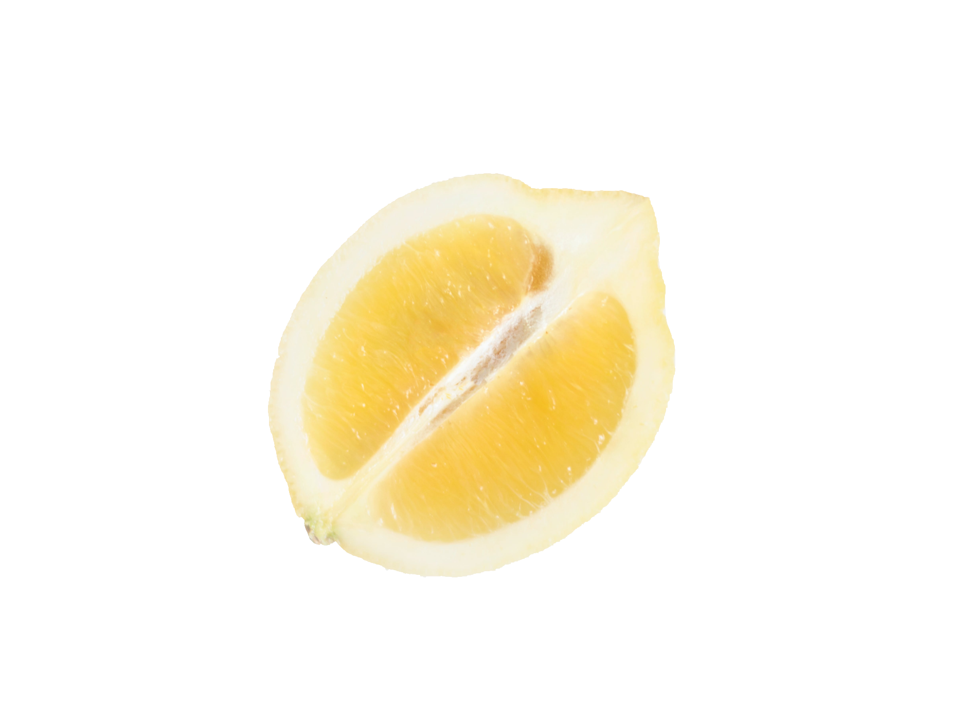 lemon-89-1