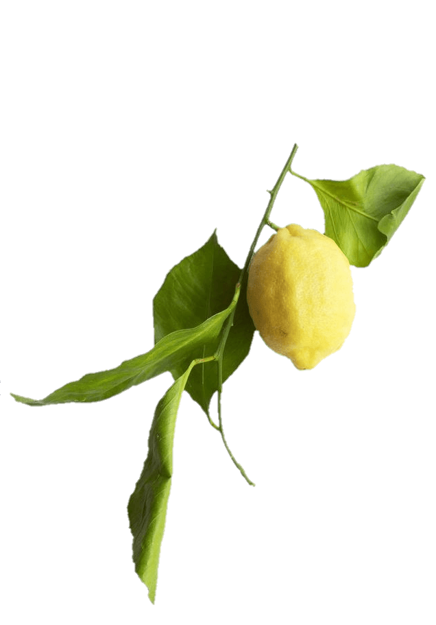 lemon-9