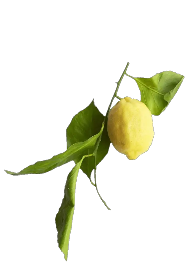 Natural Lemon Png