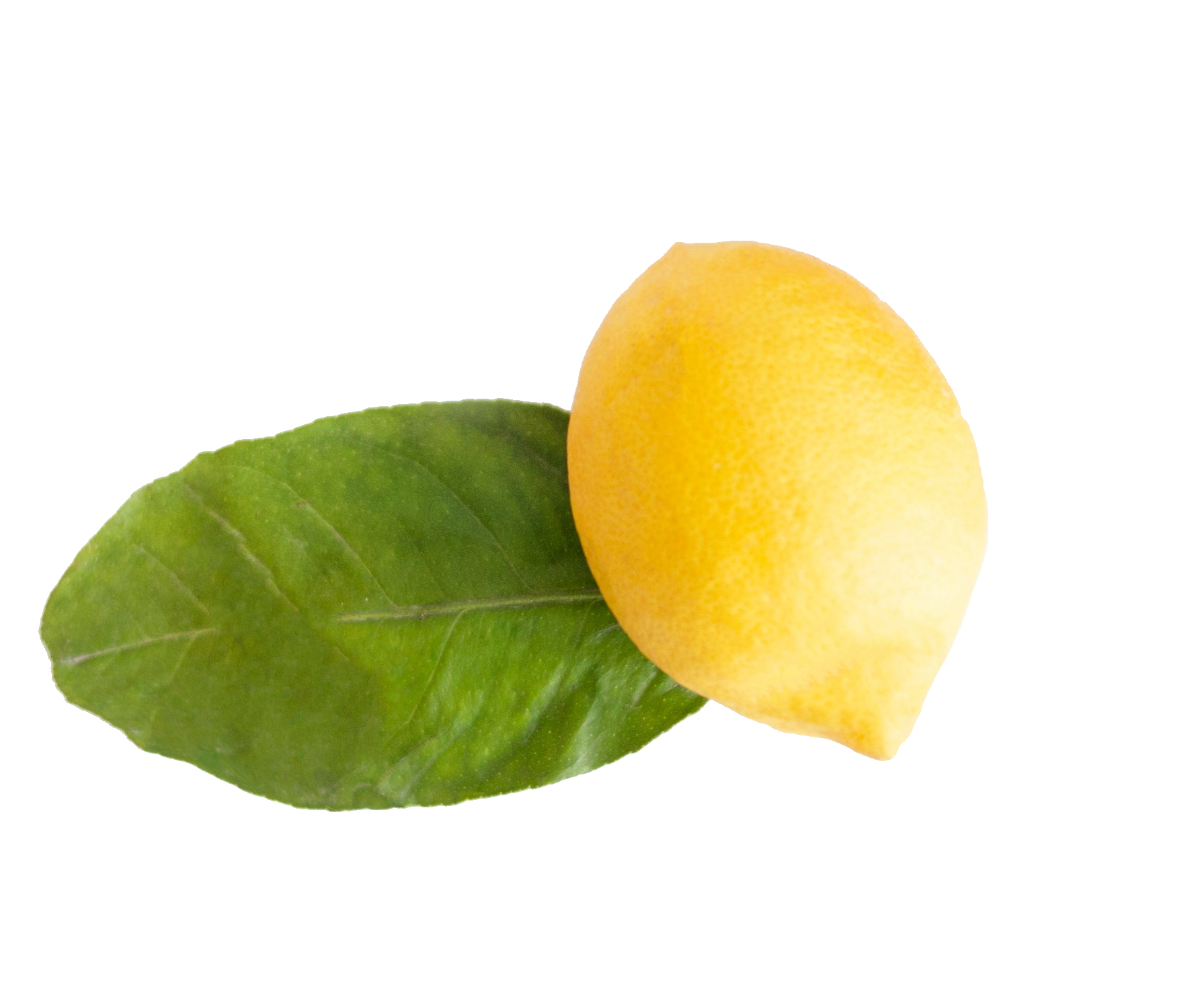lemon-91-1