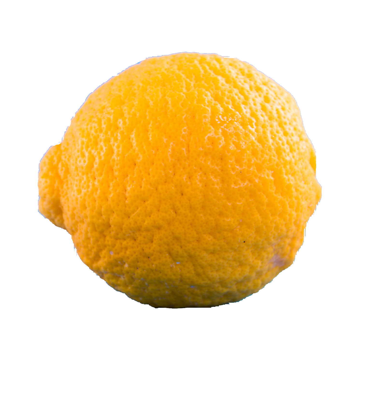lemon-93