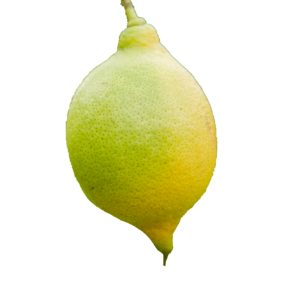 Single Natural Lemon Png