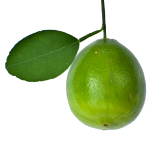 Green Lemon with Leaf Png