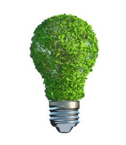 Green Nature Light Bulb PNG
