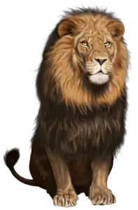 Lion Png clipart 