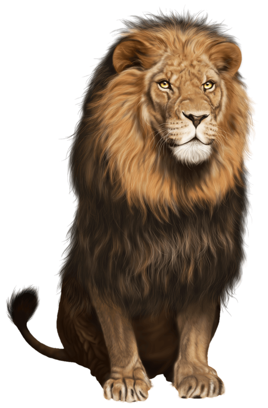 lion-18