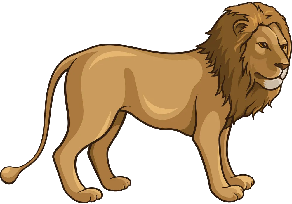 lion-36