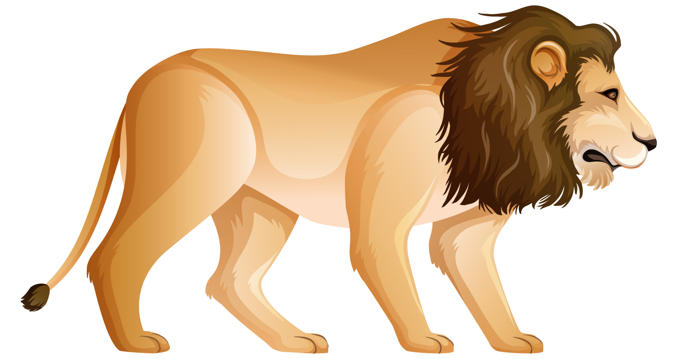 lion-48
