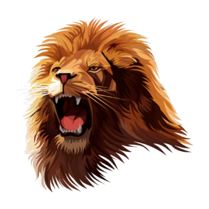 Lion Design Png