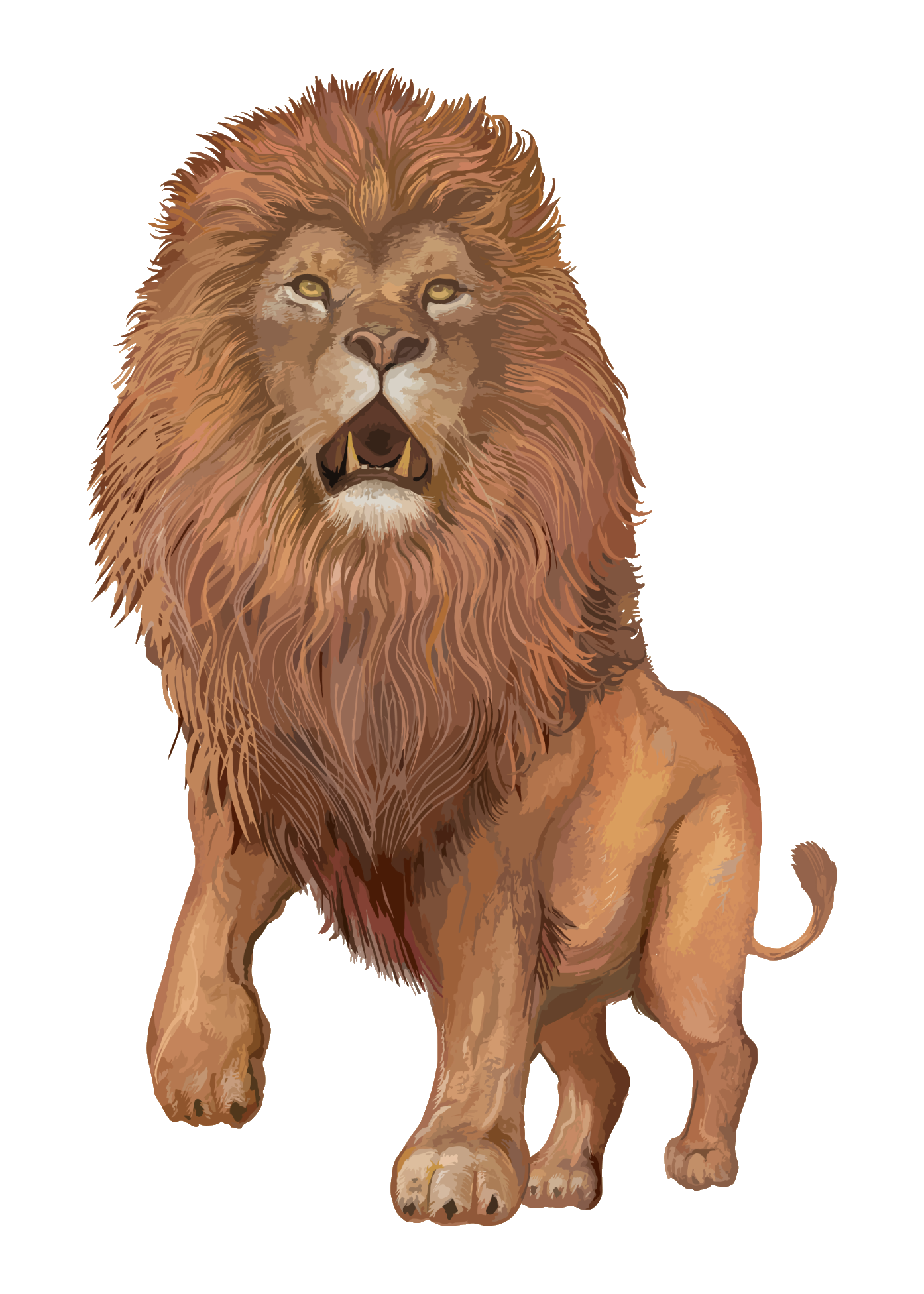 lion-53