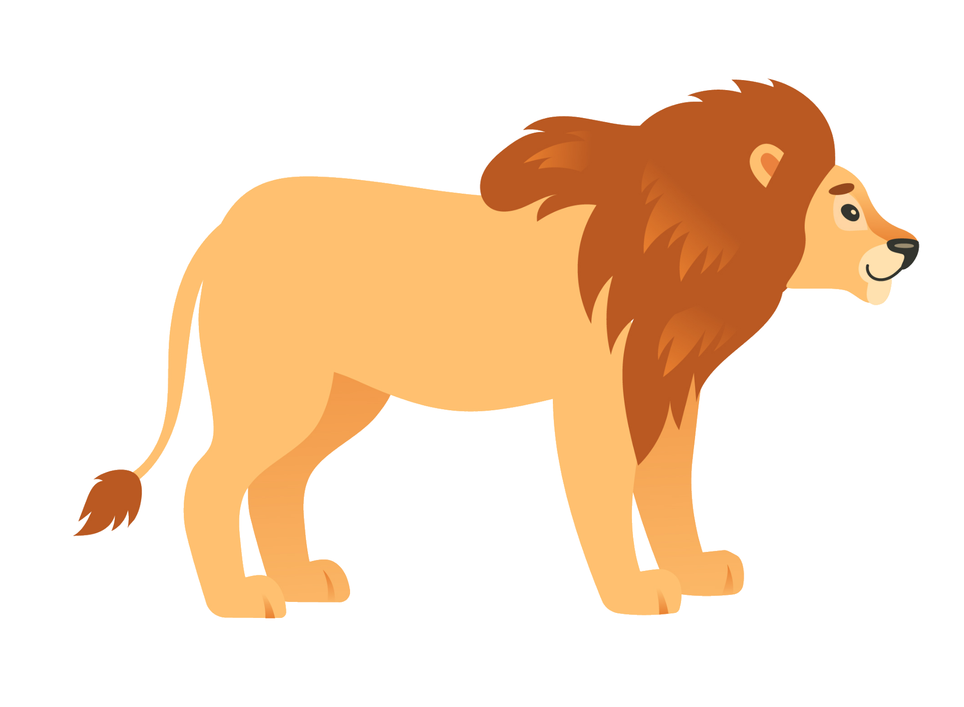 lion-56-1