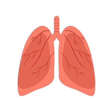lung-10