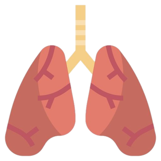 lung-11