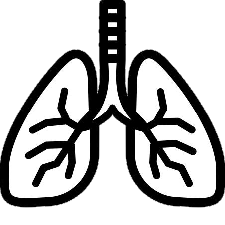Black Human Lungs Vector Png
